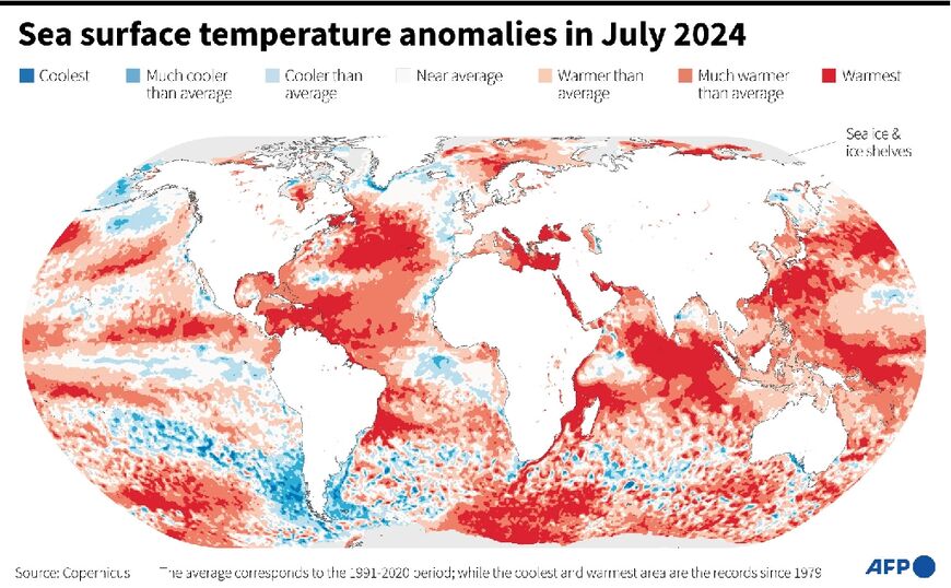 Sea surface temperature anomalies in July 2024