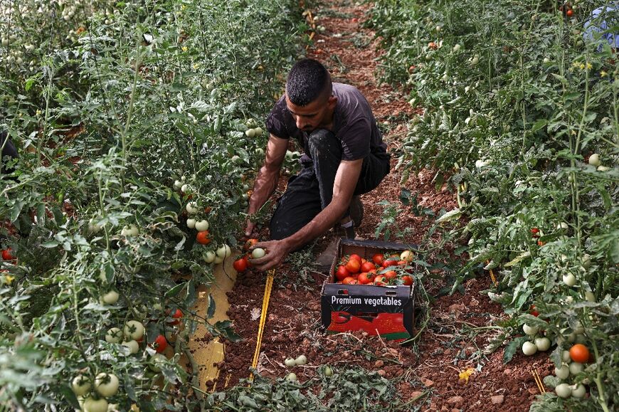 The Norwegian Refugee Council also says that Israel had denied Palestinians access to 99 percent of the land in Area C of the West Bank, which is solely under Israeli control