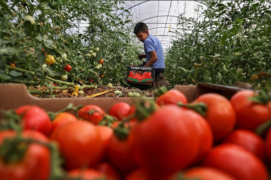 About 00,000 Palestinians from the West Bank were working in Israel legally or illegally, according to the Palestinian General Confederation of Labour