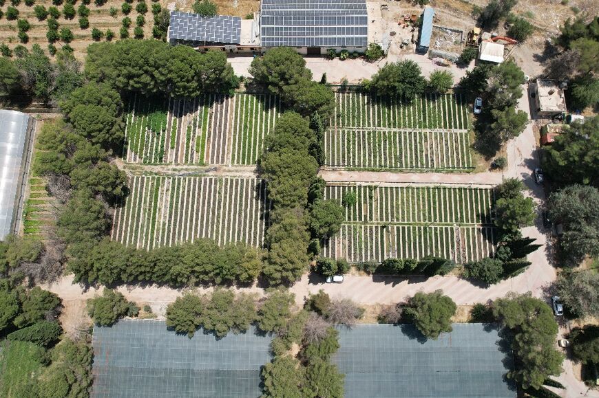 The Sarchinar tree nursery in the Kurdish city of Sulaimaniyah provides some 40 varieties of trees to be planted in forests or given to farmers