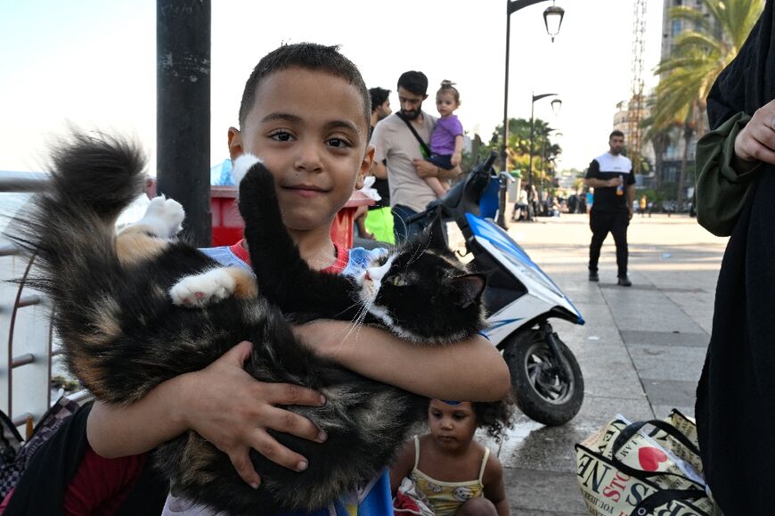 Many of the displaced have taken their cats with them.