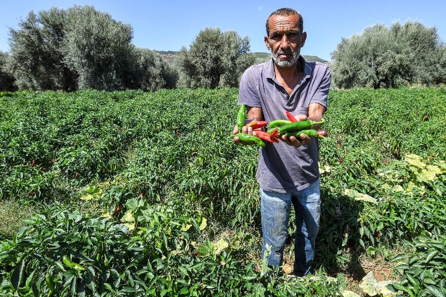 Farmer Abdallah Gadgadhi said his fields had shrunk by two-thirds due to drought until the dam came along