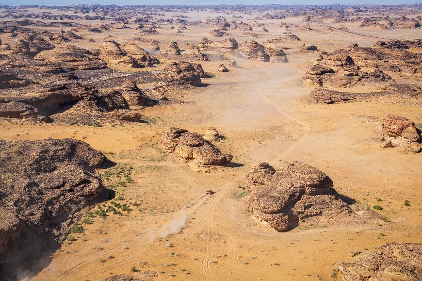 Desertification is an issue close to home for talks host Saudi Arabia which has one of the biggest deserts on the planet.