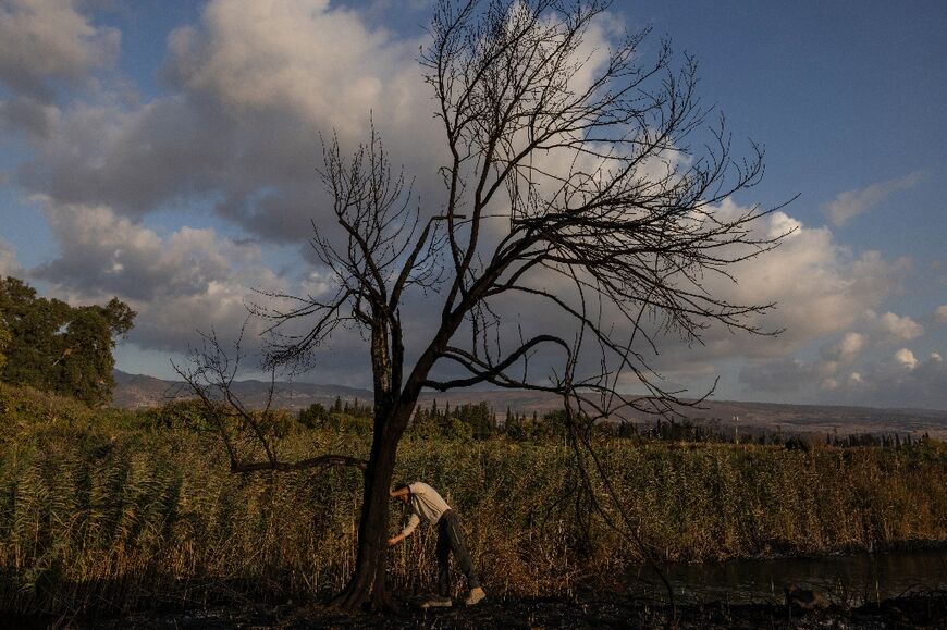 An parks authority employee inspects a burned tree following a rocket attack at the Tel Dan nature reserve