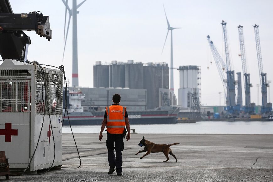 A sniffer dog at work in the port of Antwerp in Belgium, one of the main entry points of cocaine into Europe