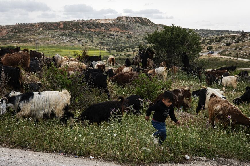 Between a stadium and flower fields where goats now graze, children -- who have no school to go to -- play to escape boredom