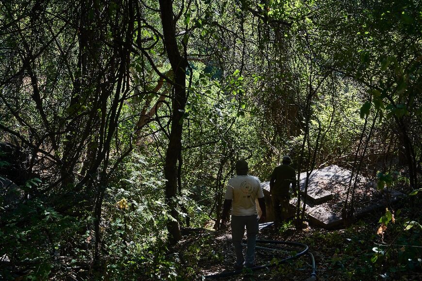 The deals were meant to protect African forests in exchange for selling carbon credits to polluters and bringing benefits to local communities