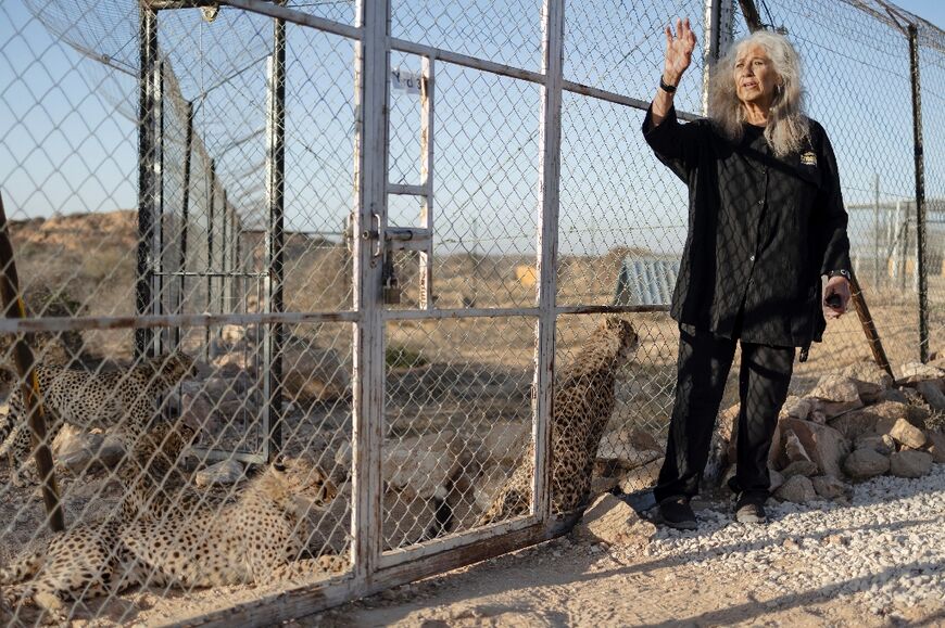 For every cheetah cub that reaches its destination, four or five die en route, said Laurie Marker, founder of CCF