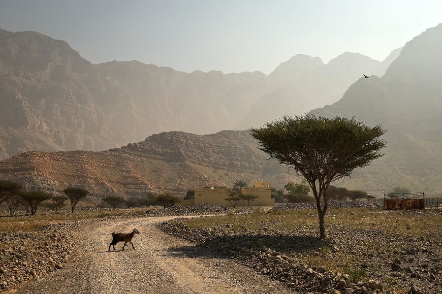 El Nino could develop before the end of the year, pushing temperatures higher