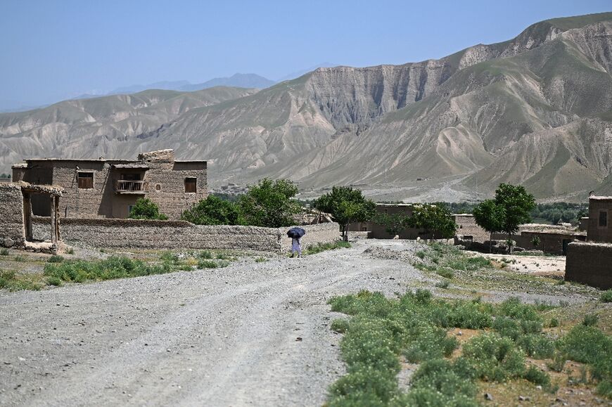 After years of wartime deforestation from the 1979 Soviet invasion until the fall of the first Taliban government in the early 2000s, efforts are now underway to revive the landscape in communities across Afghanistan